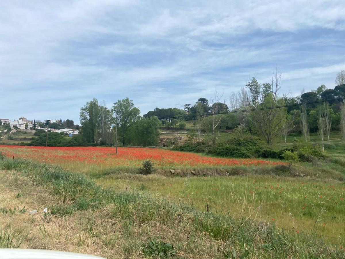 דירות קזאיה דה לה סיירה Apartamento Rural Casa Monte מראה חיצוני תמונה